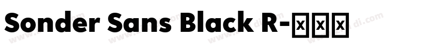 Sonder Sans Black R字体转换